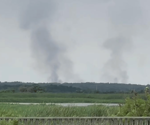 Incendio Parque Isla Salamanca