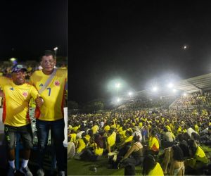 Pantallas gigantes para la final de la Copa América