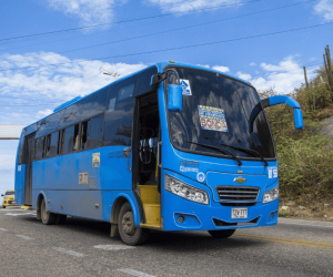 Transporte público amplía su horario y tendrá rutas especiales para Fiesta del Mar