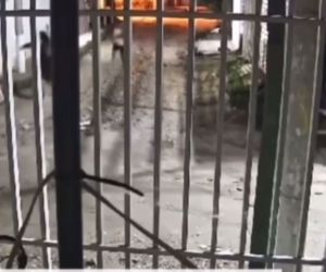 Captura de pantalla de video suministrado. 