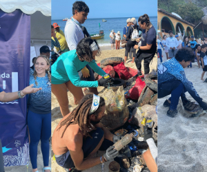 Jornada de limpieza submarina y liberación de tortugas en Playa Blanca