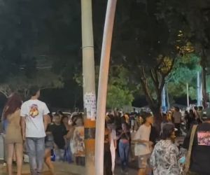Desmanes en mamatoco. 