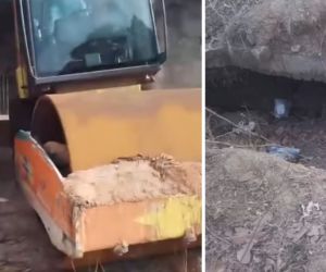 Mientras la maquinaria está en un parqueadero, aún faltan 21 kilómetros de vía por intervenir.