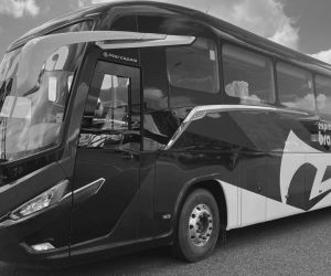 Bus de expreso brasilia