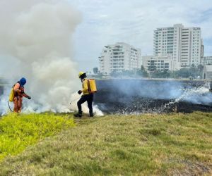 Incendio en el sector de Pozos Colorados.