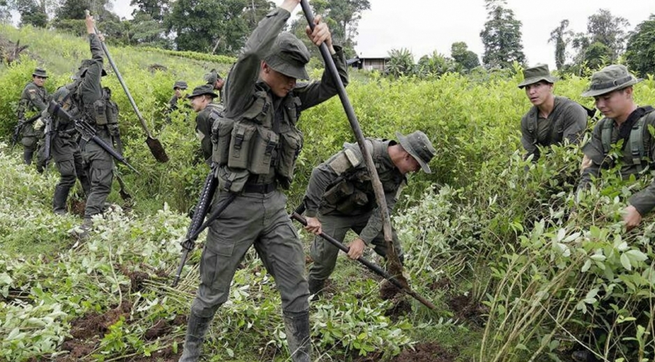 Erradicación de cultivos ilegales en el sur de Colombia.