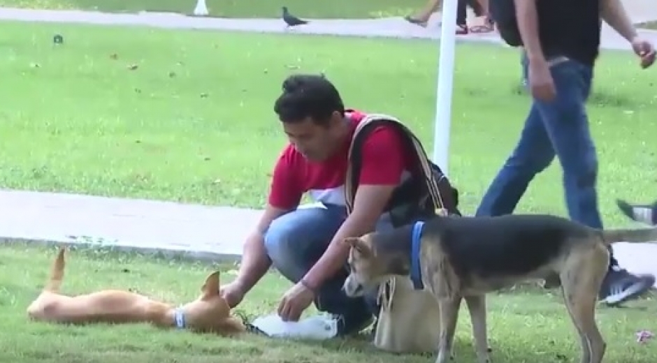 Miembro de los Guardianes Caninos alimentando a uno de las mascotas de la Universidad.