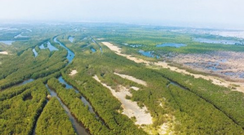 La Ciénaga Grande, es la laguna costera más grande de toda la cuenca del Caribe, con sus 500.000 hectáreas. 