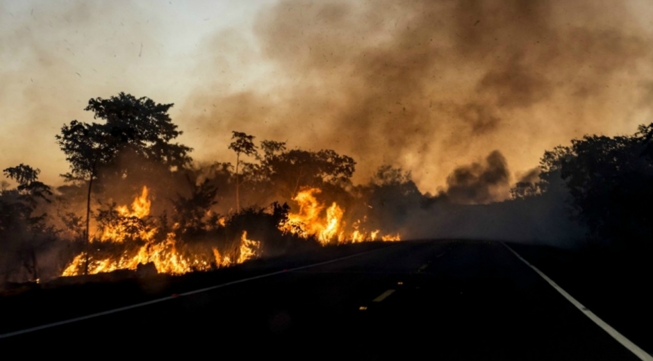 El que más ha perdido hectáreas es el estado de Mato Grosso, con 5.955.