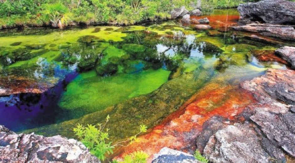 Entre los atractivos se encuentra río multicolor Caño Cristales.