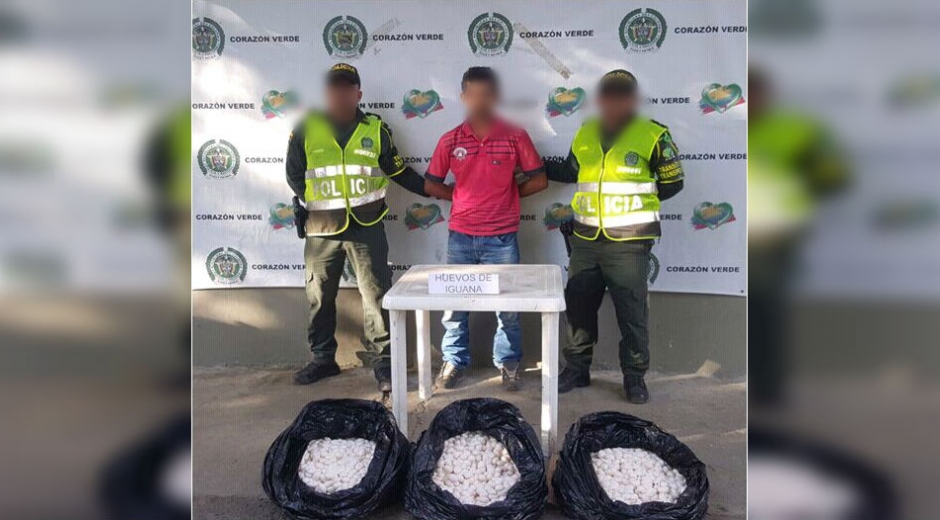 Sujeto capturado con 5 mil huevos de iguana.