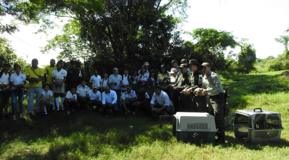 Las actividades de liberación de especies involucran a colegios para que aprendan sobre conservación.