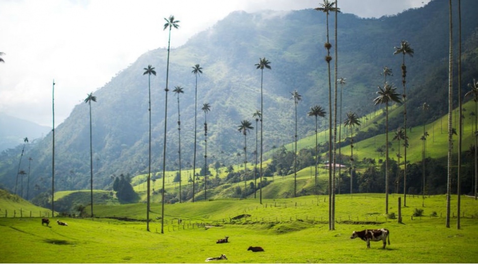 Salento, Quindío.