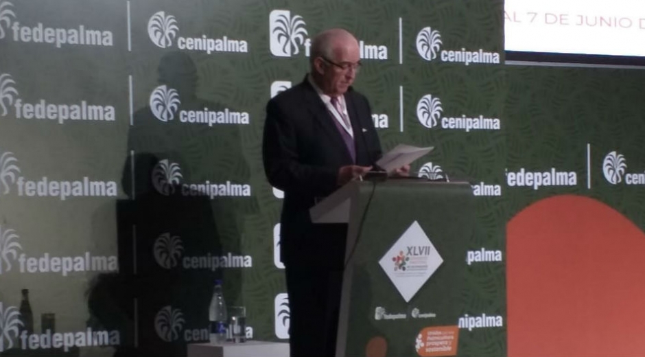 Jens Mesa Dishington, presidente ejecutivo de  Fedepalma.