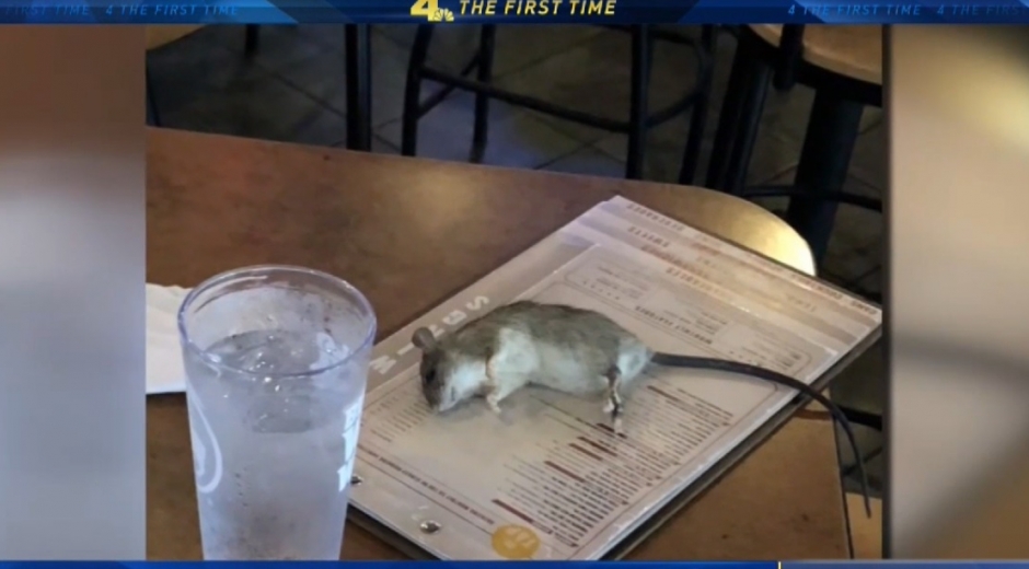 Esta es la foto de la rata apenas cayó en la mesa del restaurante. Aún estaba viva.