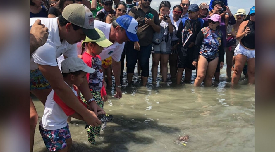 La liberación se llevó a cabo en Pozos Colorados.