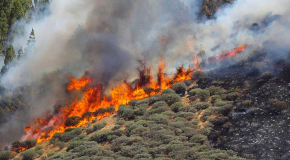 Incendio en Gran Canaria.