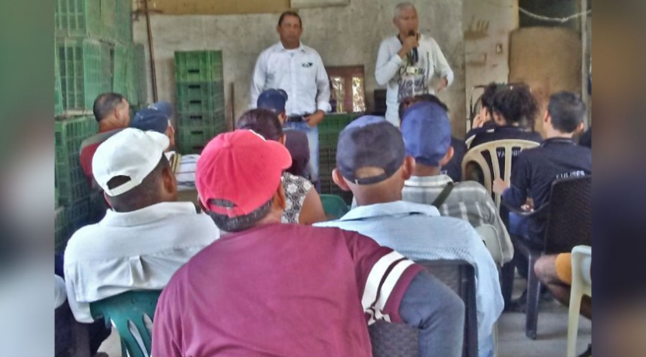 Durante la actividad, también se capacitaron a los agricultores en inspección, vigilancia y manejo de las enfermedades que pueden padecer el cultivo de guayaba.