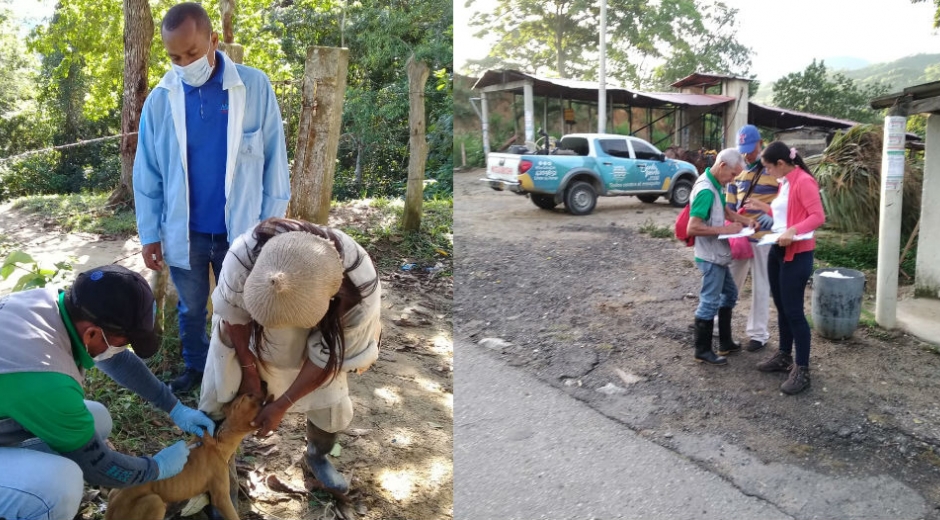 Alcaldía de Santa Marta Acciones de vigilancia de salud pública.