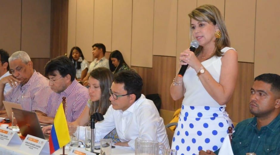Gobernación del Magdalena Carlos Caicedo y Virna Johnson se reunirán este miércoles en Bogotá con los funcionarios de orden nacional.