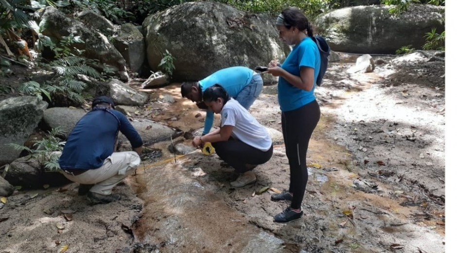 Los guardabosques se encuentran trabajando en el Parque Nacional Natural Tayrona.