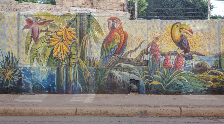 Murales en el Centro Histórico de Santa Marta.