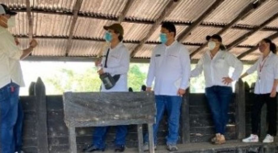 Los funcionarios del Senasa, visitaron, en el departamento de Antioquia, un predio de crianza de porcinos para exportación y una planta de beneficio de porcinos.