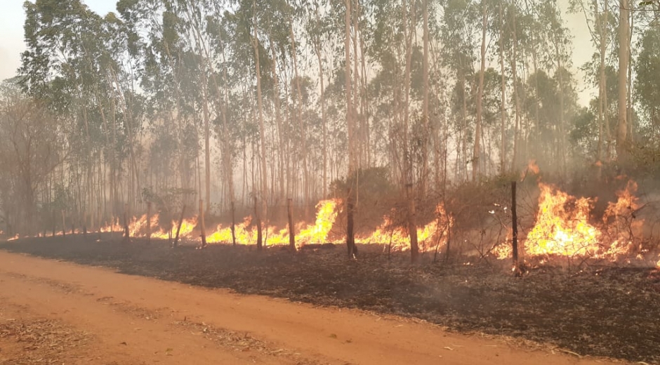 El Magdalena se ha visto afectado fuertemente por los distintos incendios forestales que se han registrado 