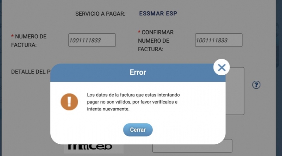 El sistema de Essmar no permite el pago electrónico.