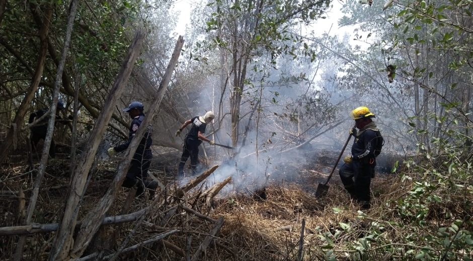 Desde la tarde del martes se presenta el incendio.