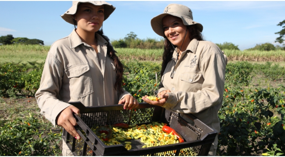 En la actualidad, el 44 % de los emprendimientos beneficiados por Fondo Emprender han sido para mujeres de 597 municipios del país.