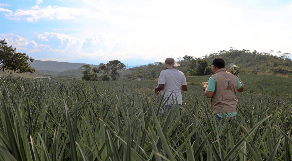 La Unidad de Restitución de Tierras busca hacer presencia en todo el territorio nacional.