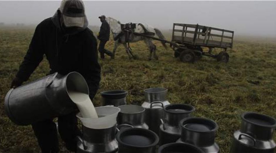 Japón aprobó los requisitos para la exportación de leche y derivados lácteos colombianos.