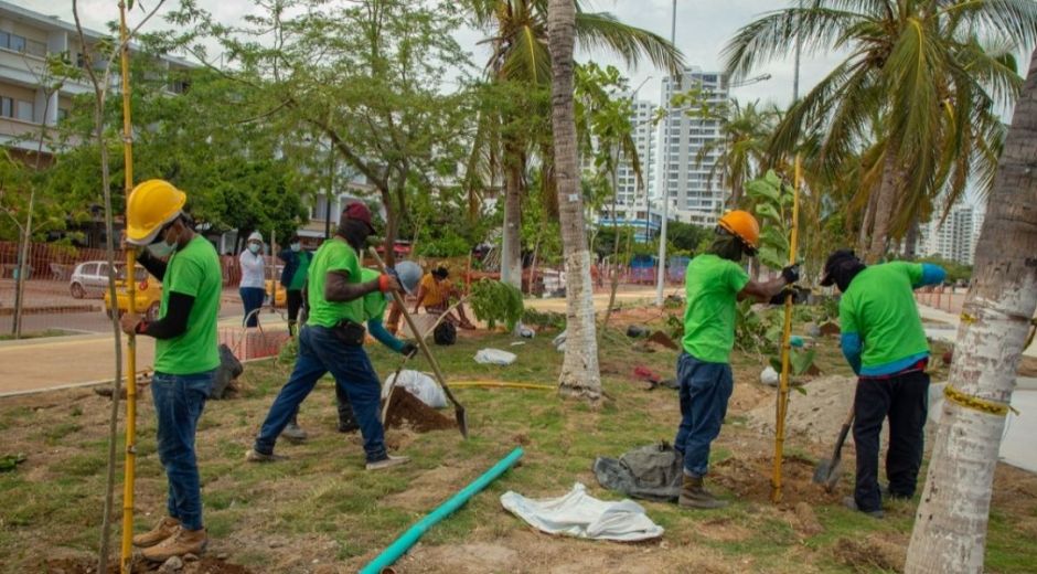 Estas acciones forman parte del componente de sostenibilidad ambiental del Camellón de la Bahía