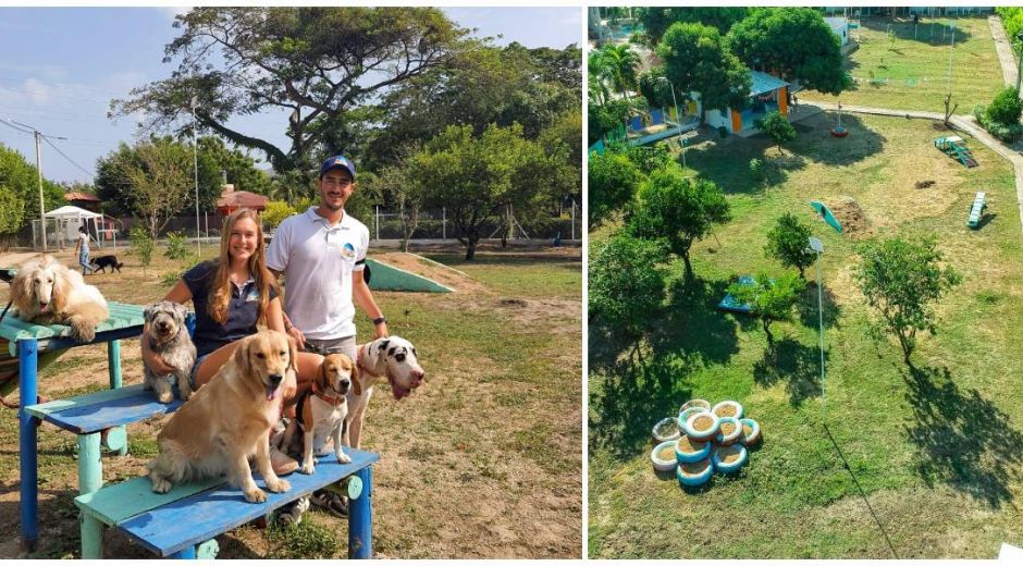 Divertidogs está ubicado en zona campestre de la ciudad de Santa Marta.