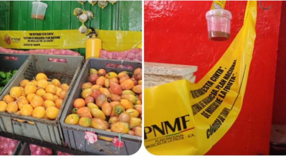 Con el propósito de vigilar y controlar la presencia de la plaga conocida como las moscas de la fruta.