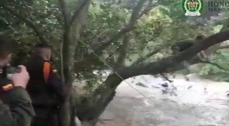Una acción policial permitió salvaguardar la vida e integridad de las ciudadanas.