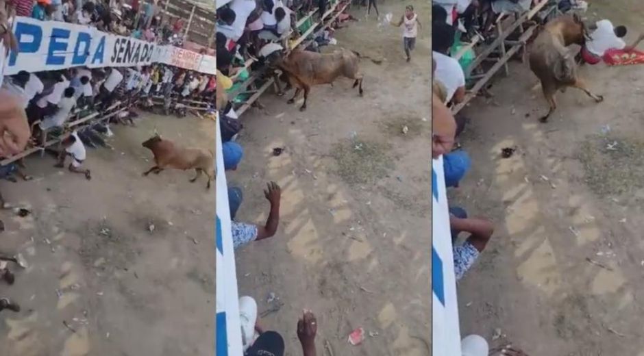 Momento en que el toro ataca al hombre y lo mata.