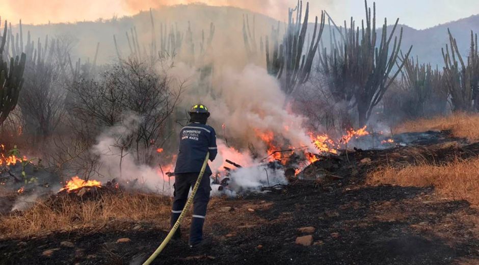 Incendios forestales.