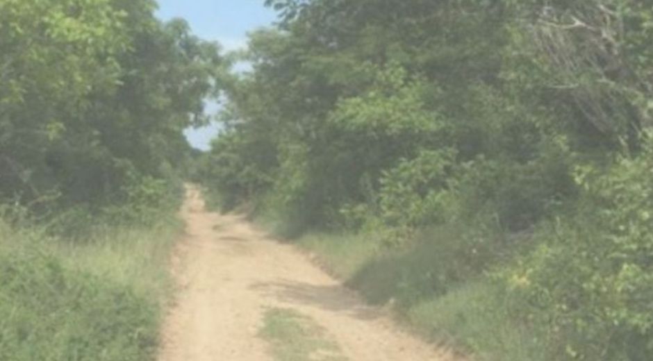 El hecho se registró en zona rural de Plato. 