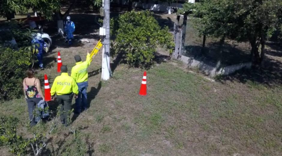 Operativo en finca porcina en el Atlántico.