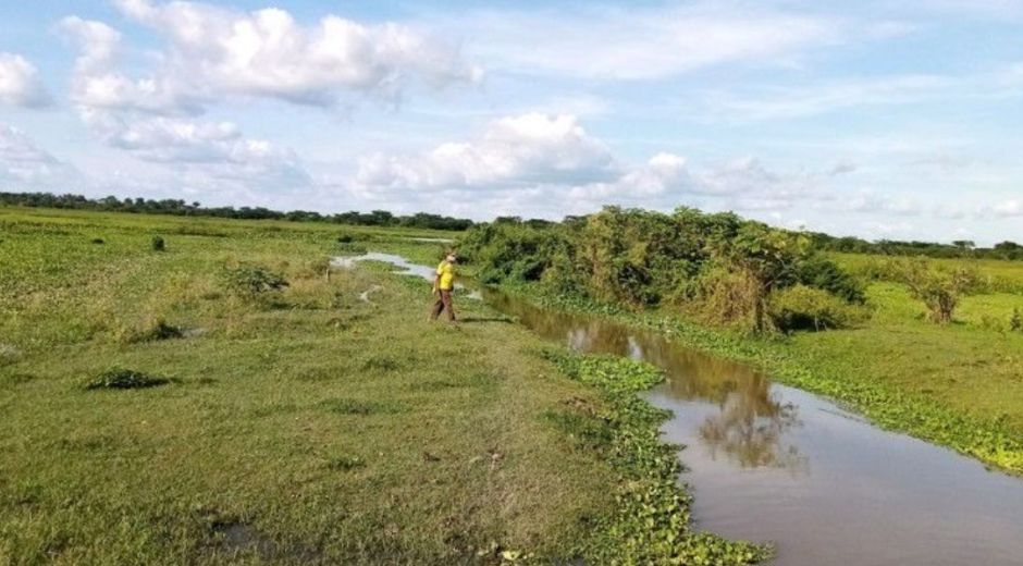 Los humedales a intervenir hacen parte de la red de cuerpos de agua del departamento del Magdalena