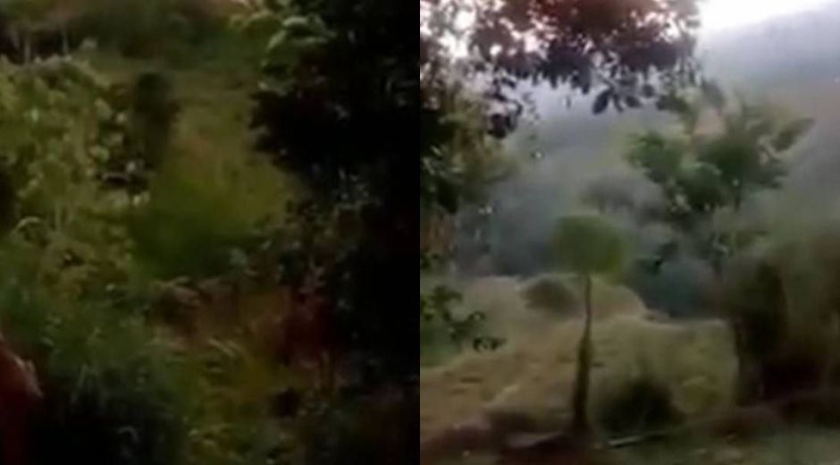 Captura de Video. Los dos grupos se pelean el territorio.