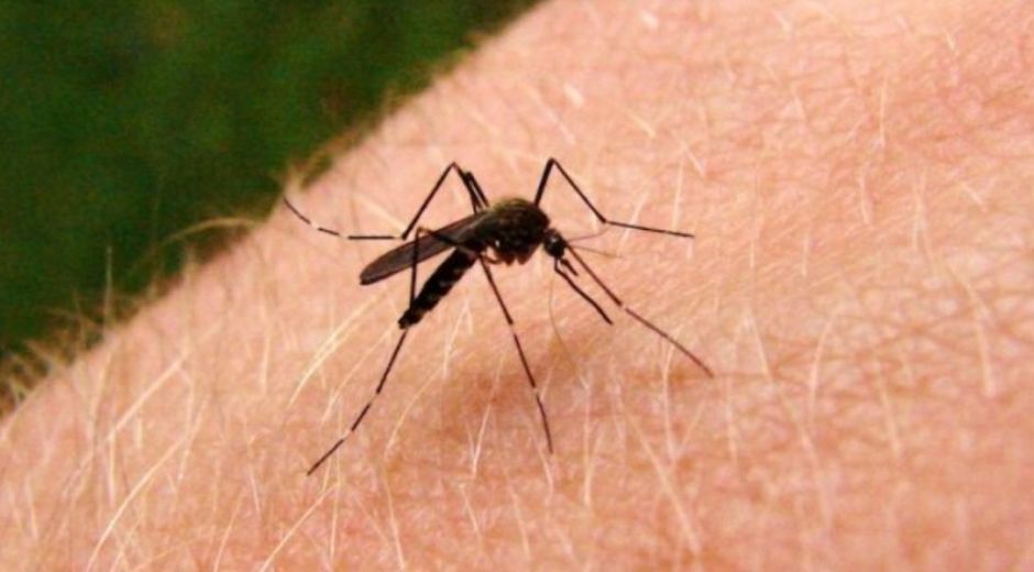 En esta semana santa es importante mantener las medidas de prevención 