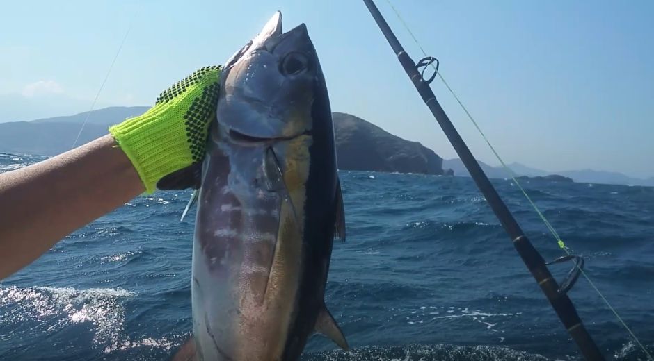 Pesca deportiva ahora será prohibida en Santa Marta. 