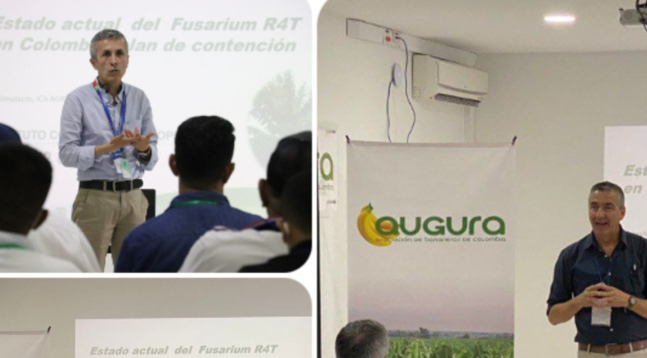 ICA El objetivo de la jornada fue desarrollar actividades para el manejo de información, gestión y articulación de acciones.