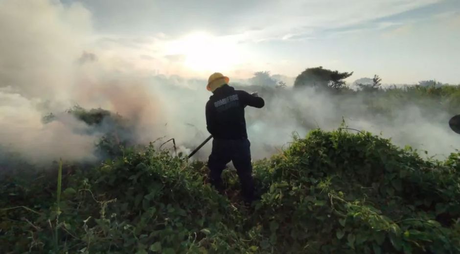 Isla Salamanca: el cuerpo de bomberos informa que está controlado el incendió  