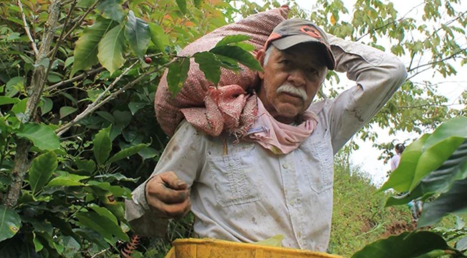 PGN vigilará el desarrollo de la Reforma Rural Integral y la jurisdicción agraria