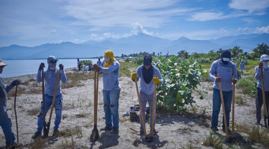 Proyecto de erosión costera en Puebloviejo