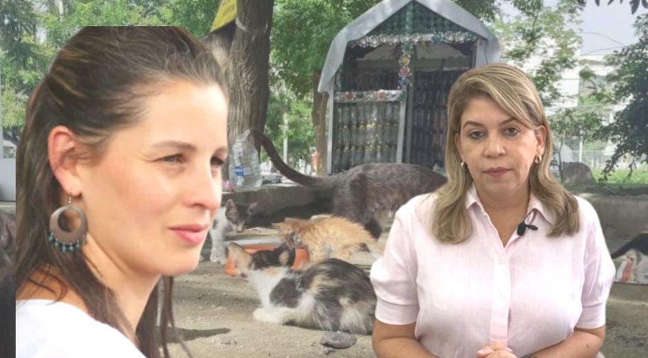Cortesía Los casos de maltrato animal volvieron a encender las alarmas.